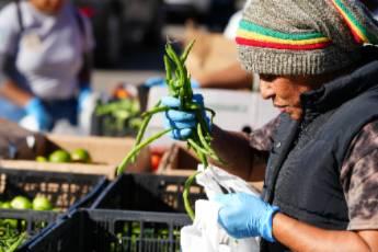 Person wearing a colorful beanie and gloves examines green beans at an outdoor market, placing them into a white bag.