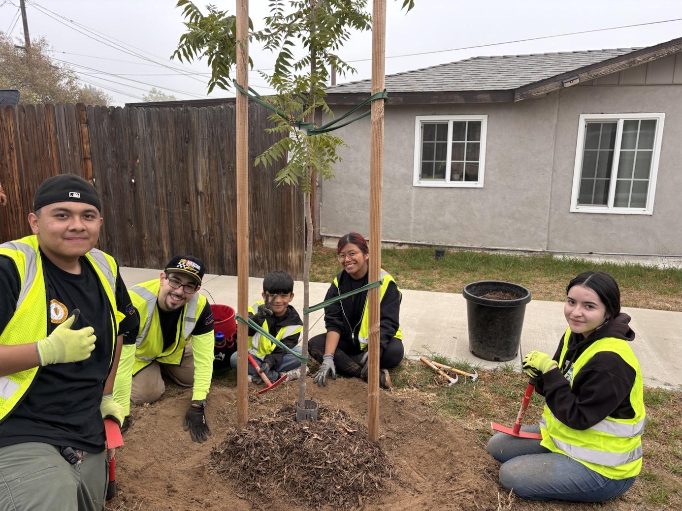 College Corps fellows caring for trees