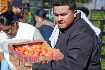 A man carrying a box of tomatoes at an outdoor event.